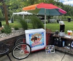 ICE CREAM CART WITH UMBRELLA